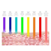 Science of red light therapy wavelength penetration